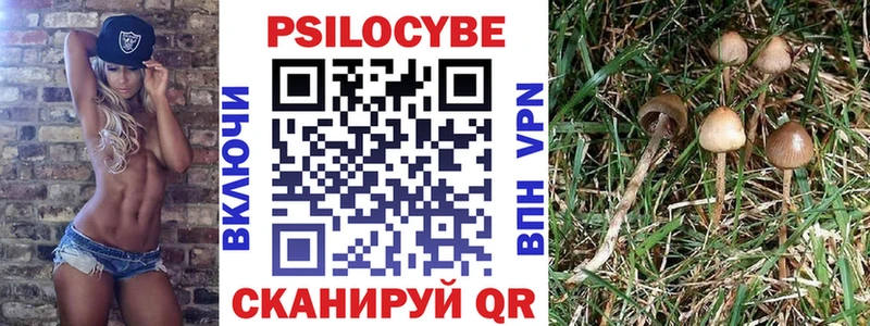 Псилоцибиновые грибы MAGIC MUSHROOMS  гидра рабочий сайт  Карачев 